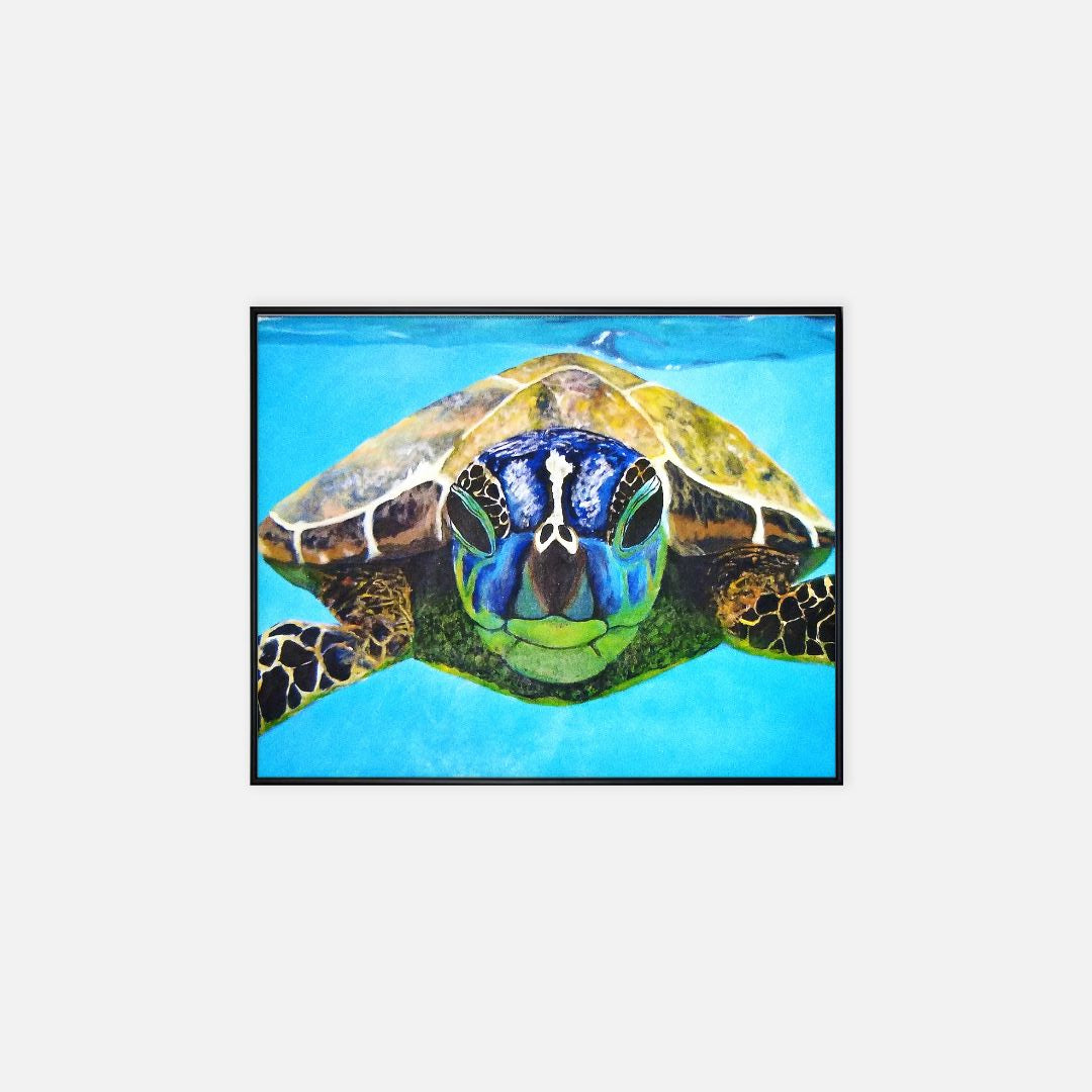 Print (16" x 20") - "Nosey Sea Turtle"