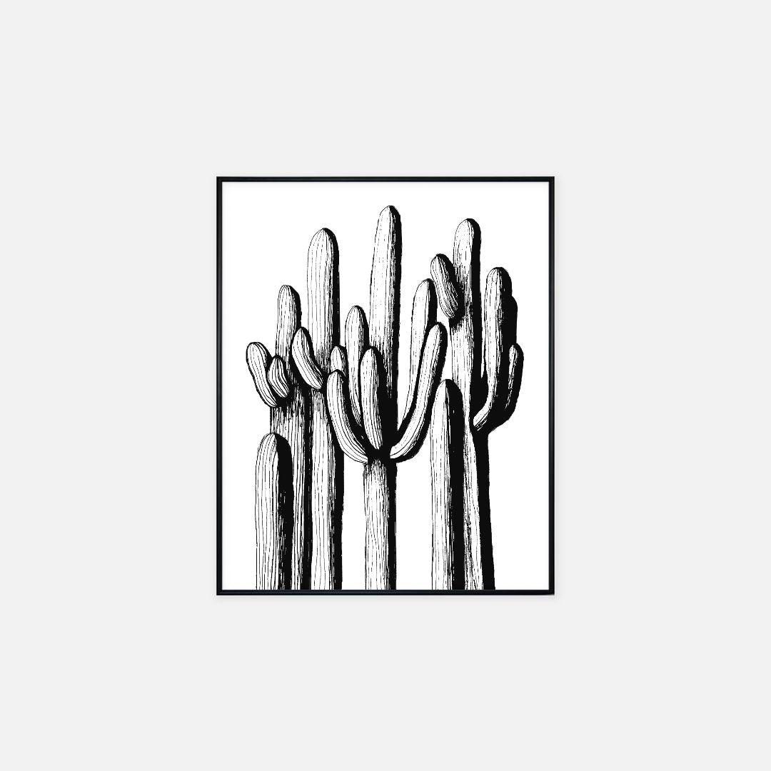 Print (16" x 20") - "Saguaro Forest"