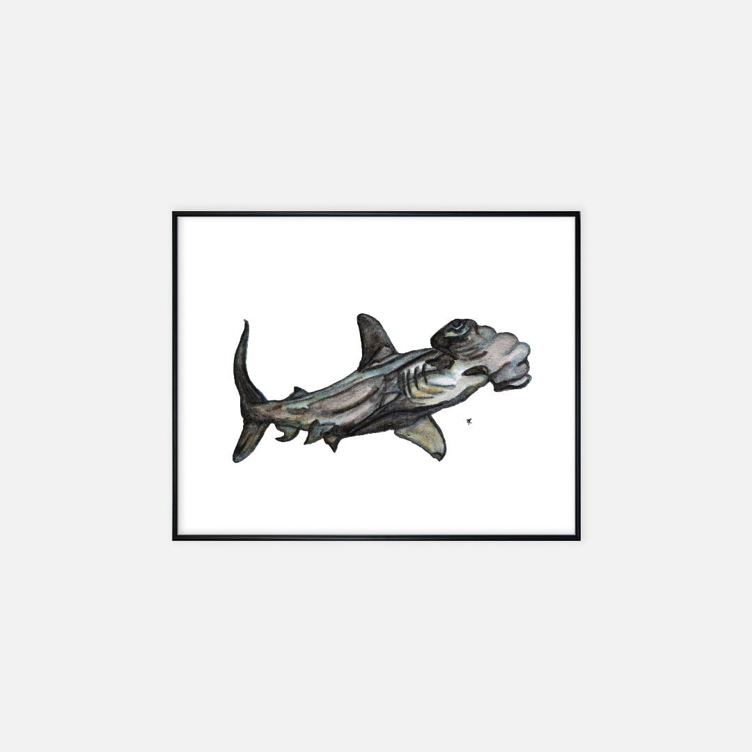 Print (16" x 20") - "Hammerhead Shark"