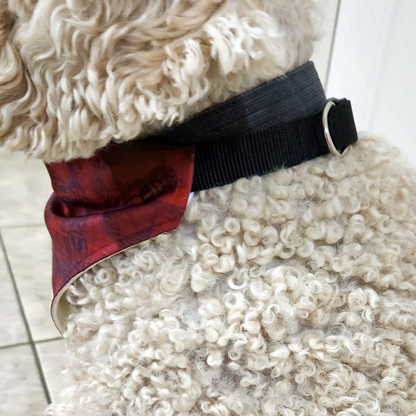 Pet Collar Bandana - "EOD Plaid" (Red)