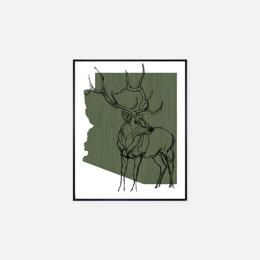 Print (16" x 20") - "Arizona Elk" (Green)