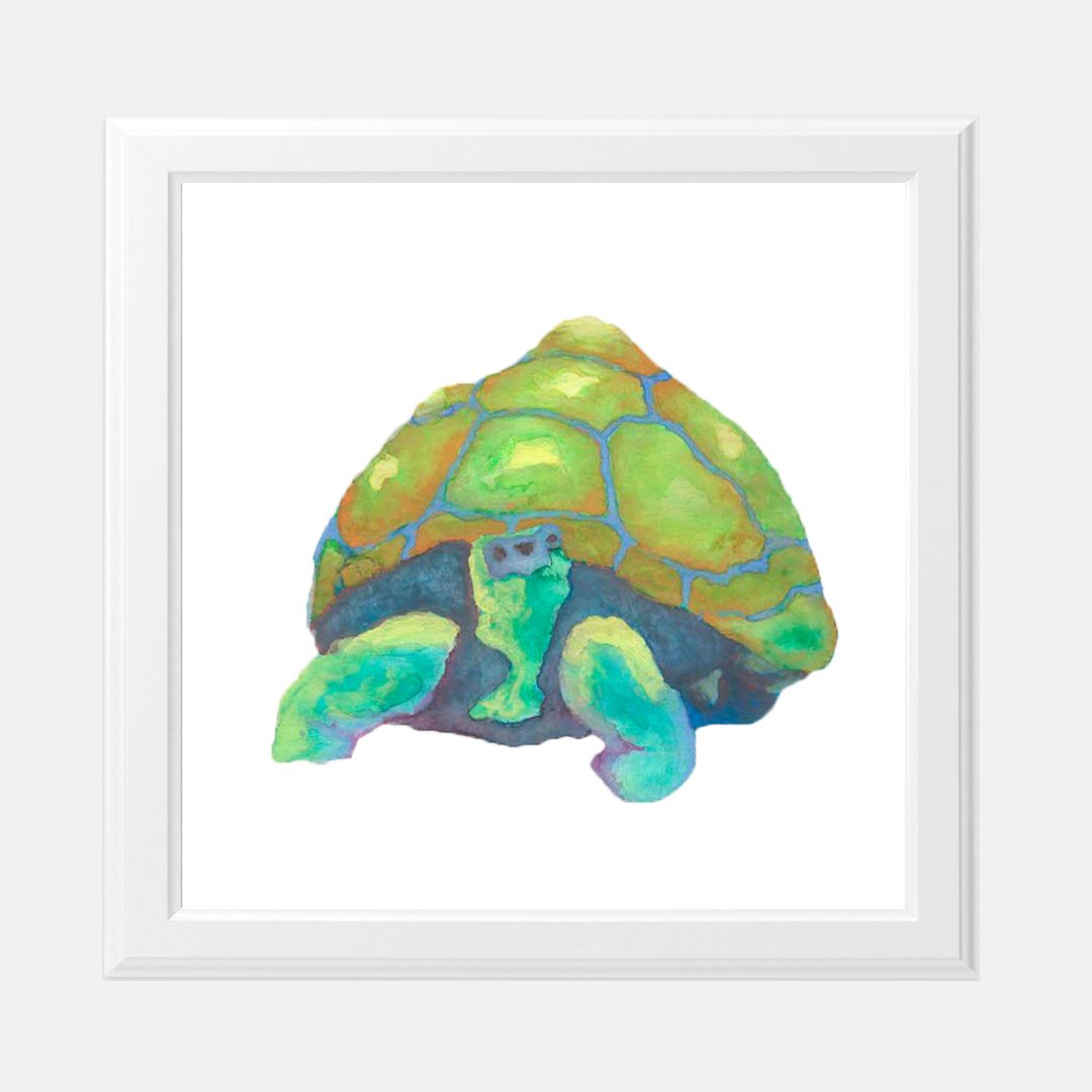 Print (8" x 8") - "Palo Verde Shade Tortoise"