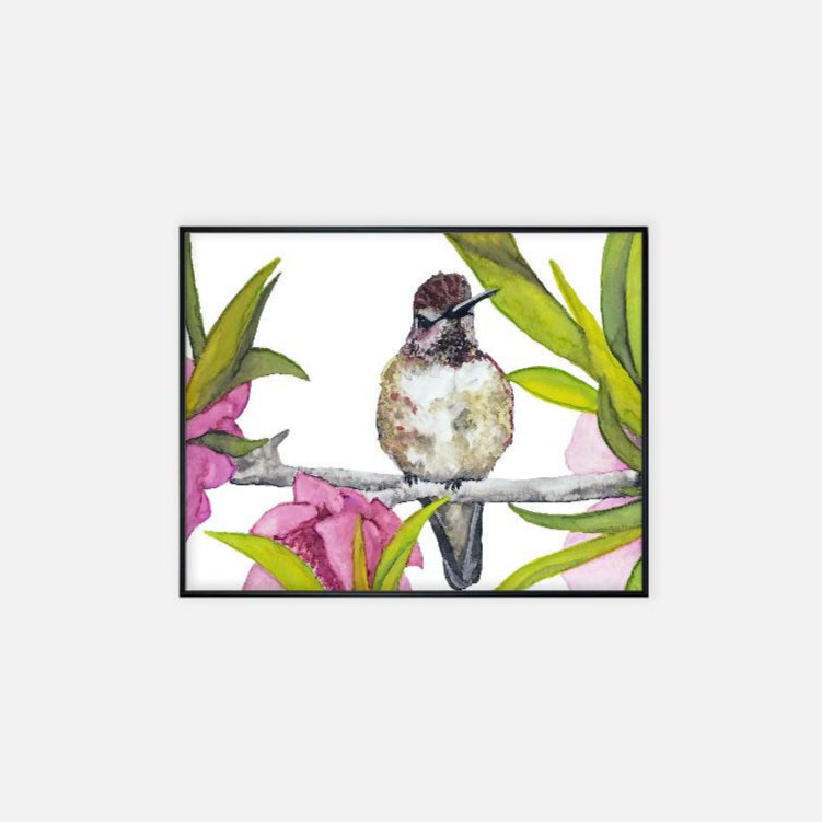 Print (11" x 14") - "Ruby, the Hummingbird"
