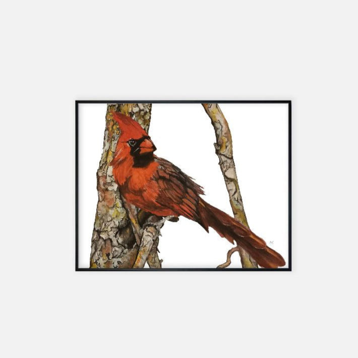 Print (11" x 14") - "Cardinal"