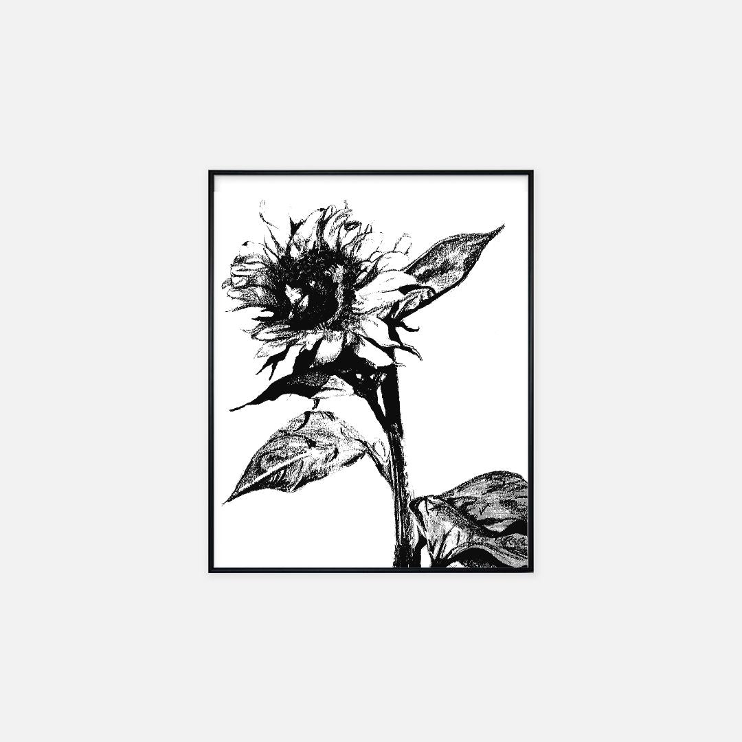 "Sunflower" - Print (16" x 20")