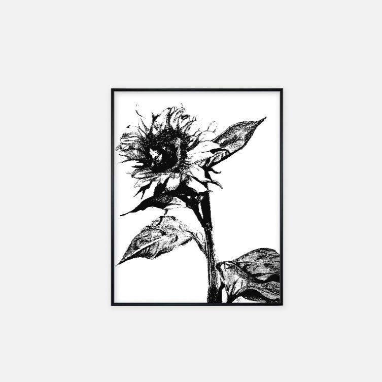 "Sunflower" - Print (11" x 14")