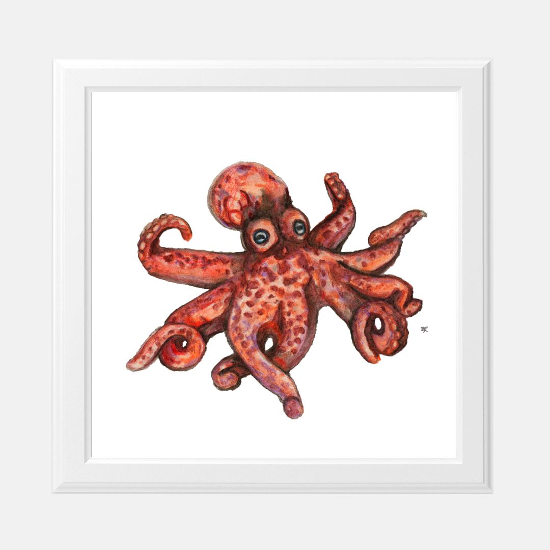Print (8" x 8") - "O is for Octopus"