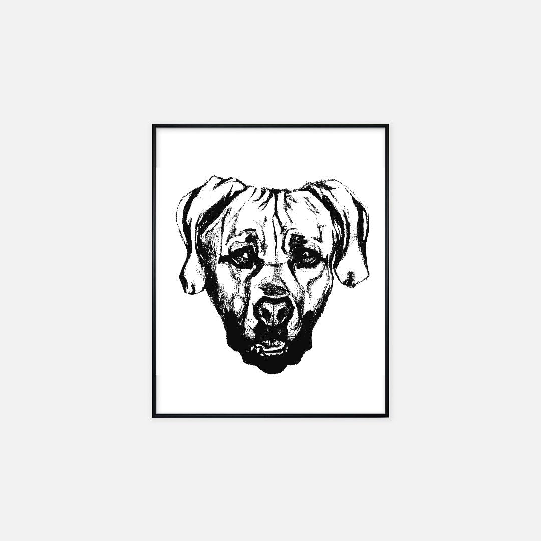 Print (16" x 20") - "Mastiff"