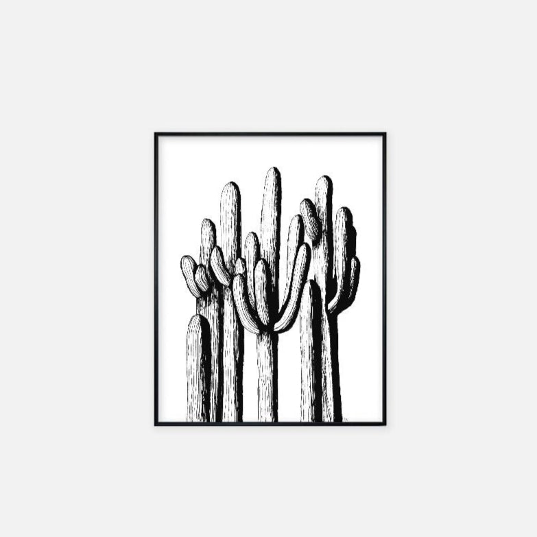 Print (11" x 14") - "Saguaro Forest"