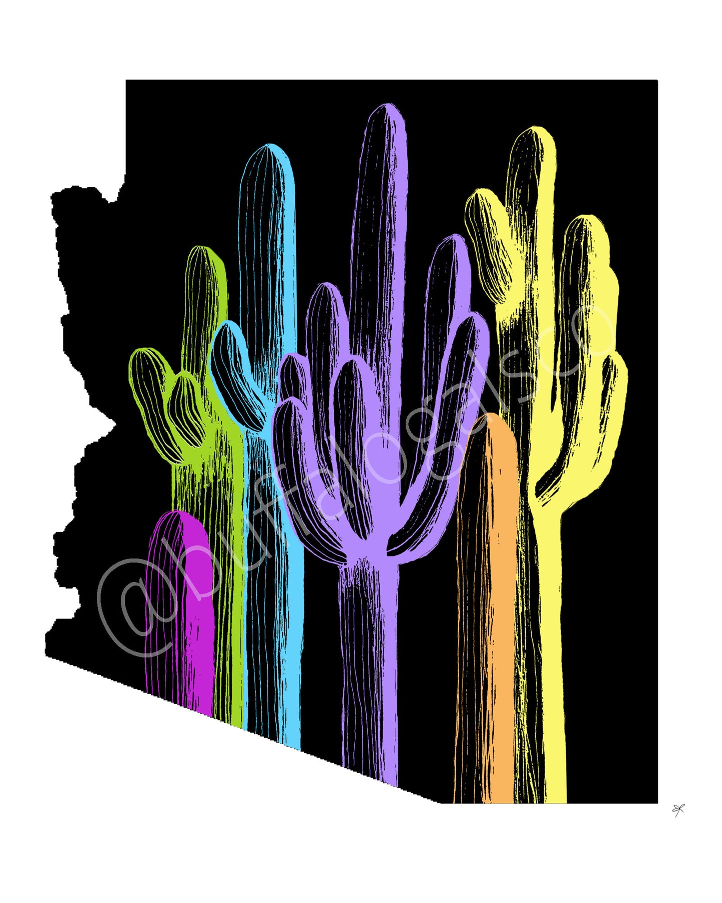 Arizona Palette on Black Print