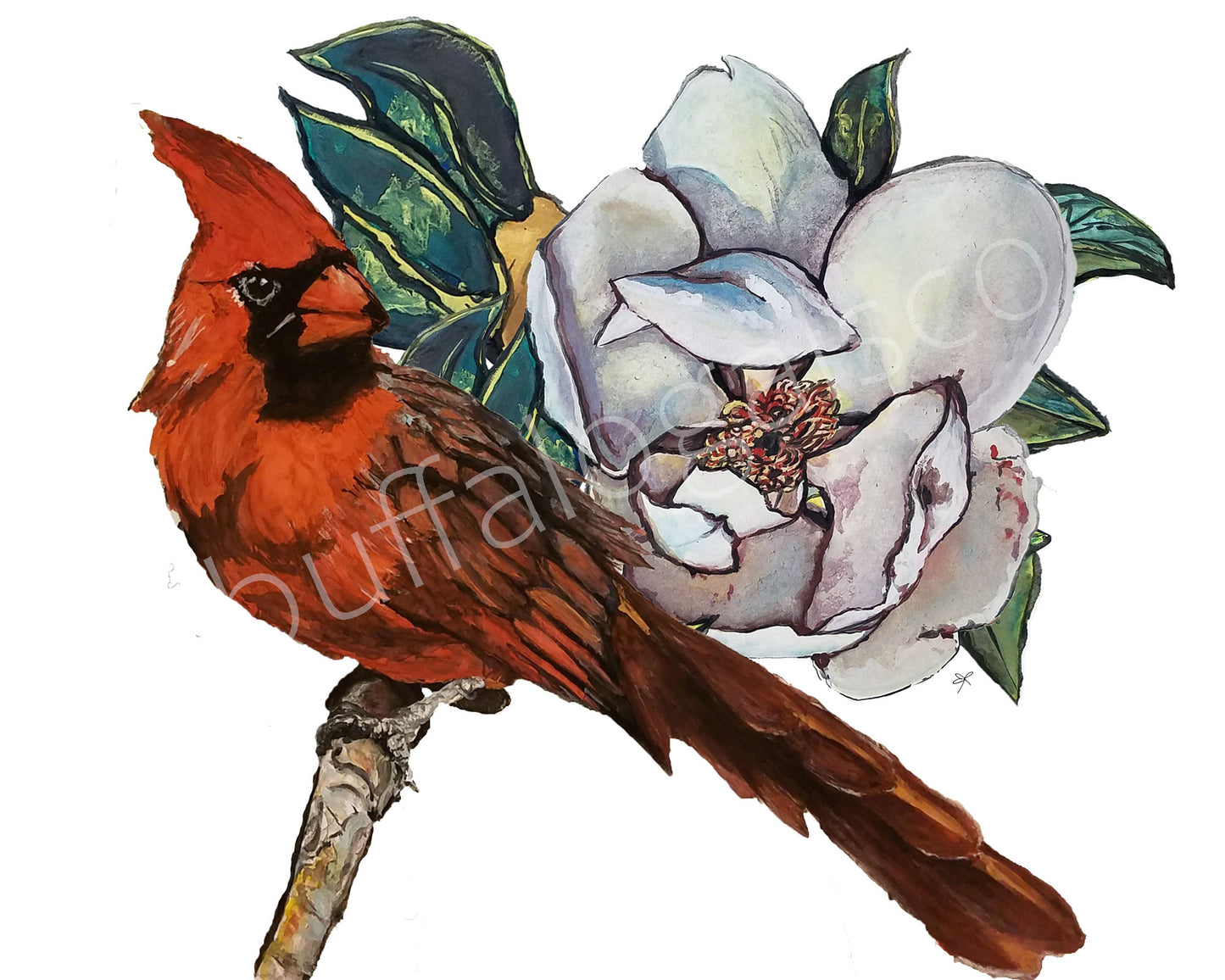 Cardinal and Magnolia Print
