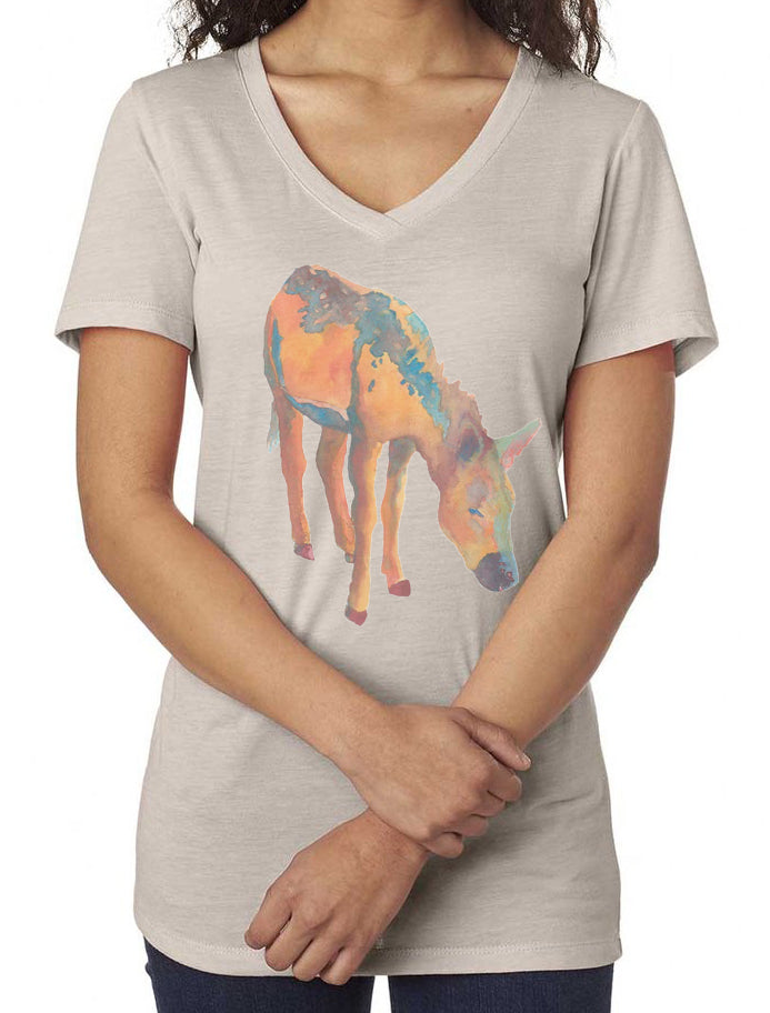 Desert Rain (Donkey/Burro) V-Neck T-Shirt