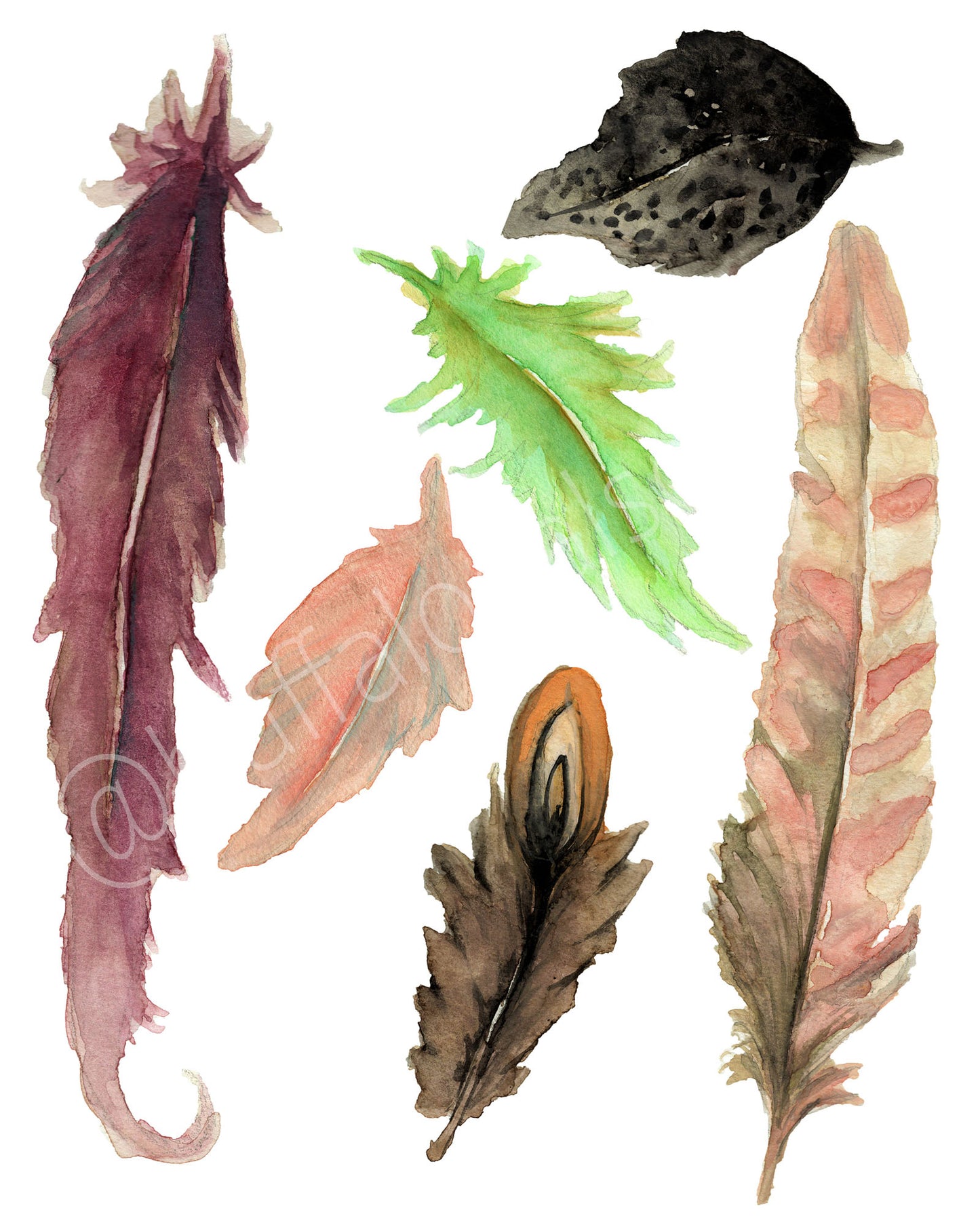 Feathers Print