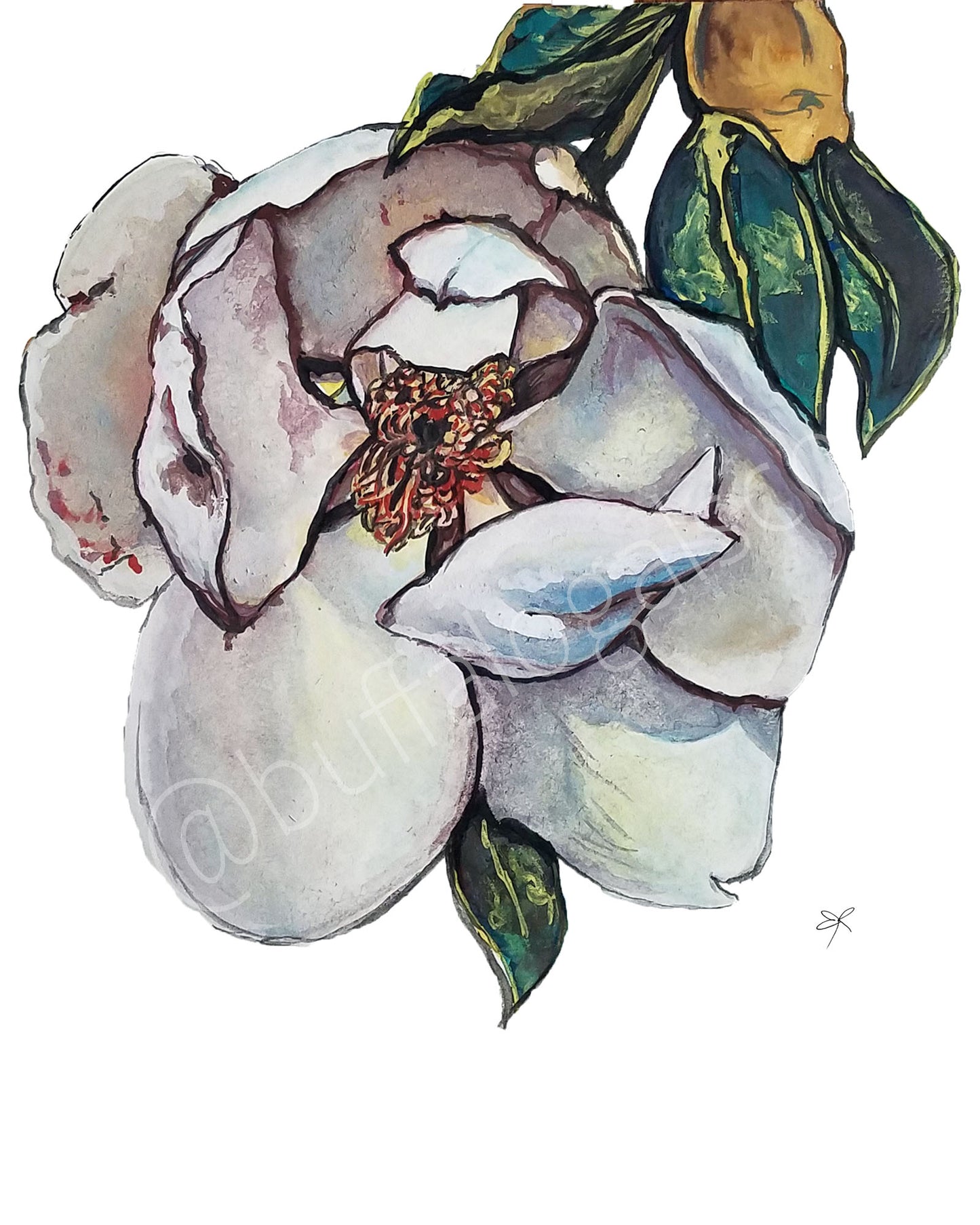 Magnolia 1 Print