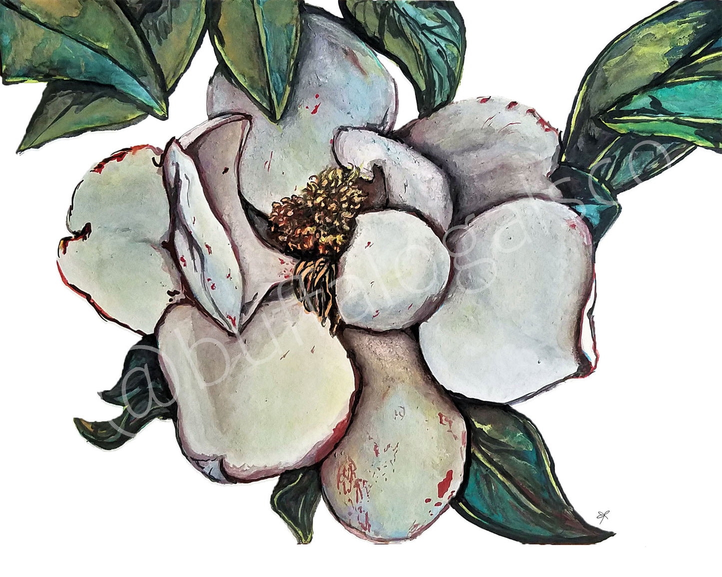 Magnolia 2 Print