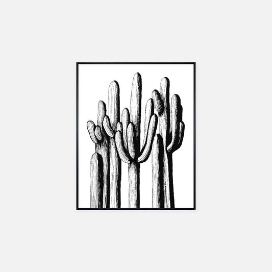 Print (16" x 20") - "Saguaro Forest"