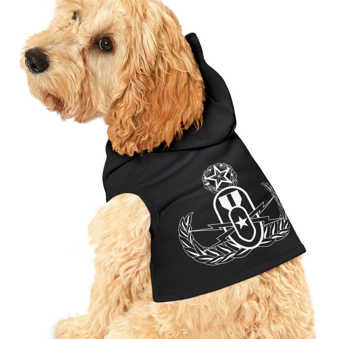 Dog wearing a black hoodie with a white design on a white background