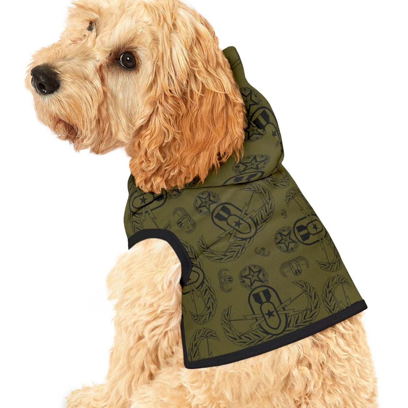 Dog wearing a green patterned coat on a white background
