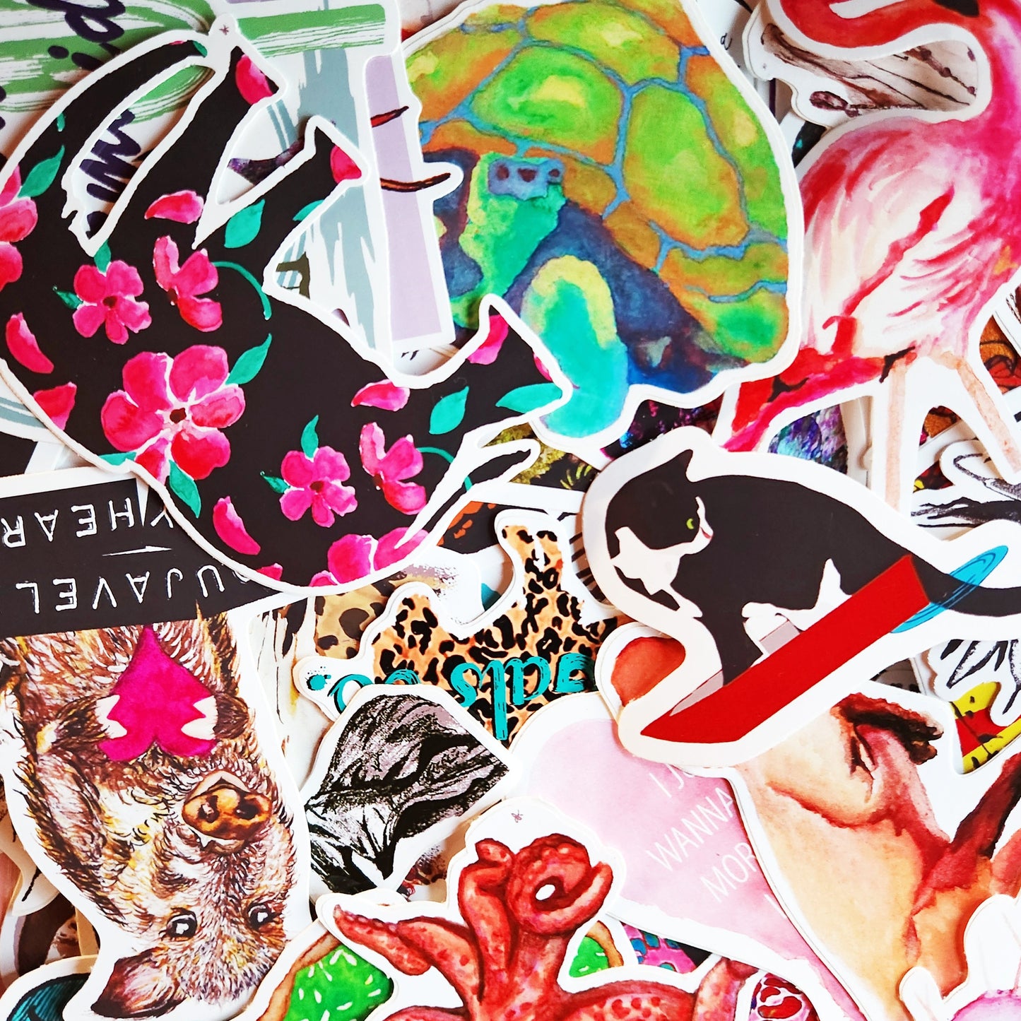 "Palo Verde Shade Tortoise" Vinyl Sticker/Decal