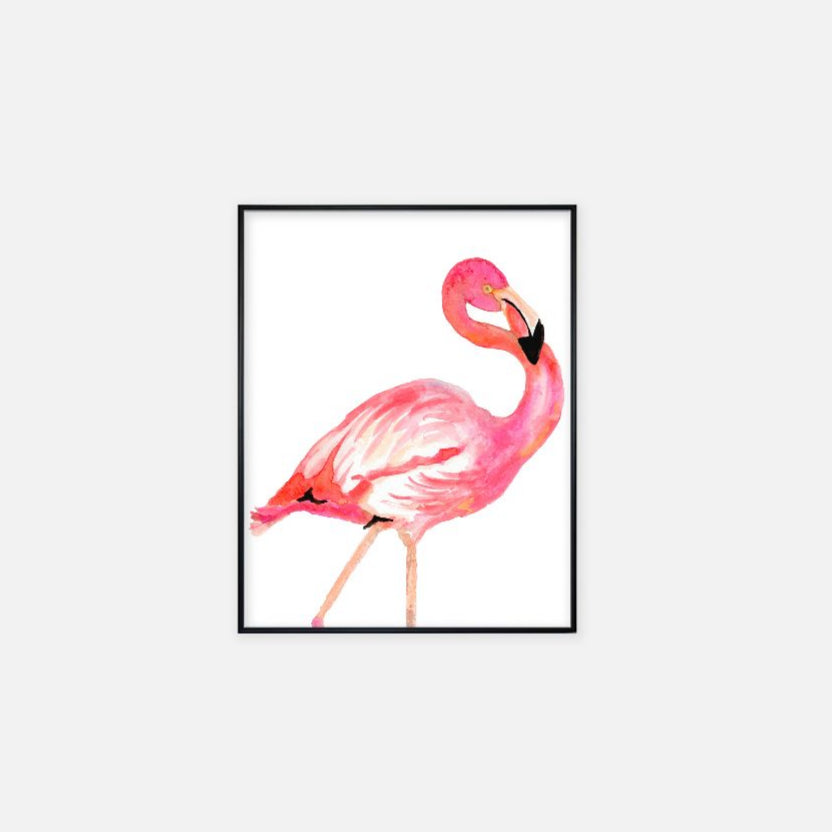 "Flamingo" - Print (11" x 14")