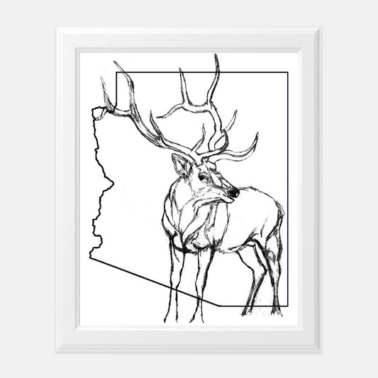 "Arizona Elk" - Print (8" x10")