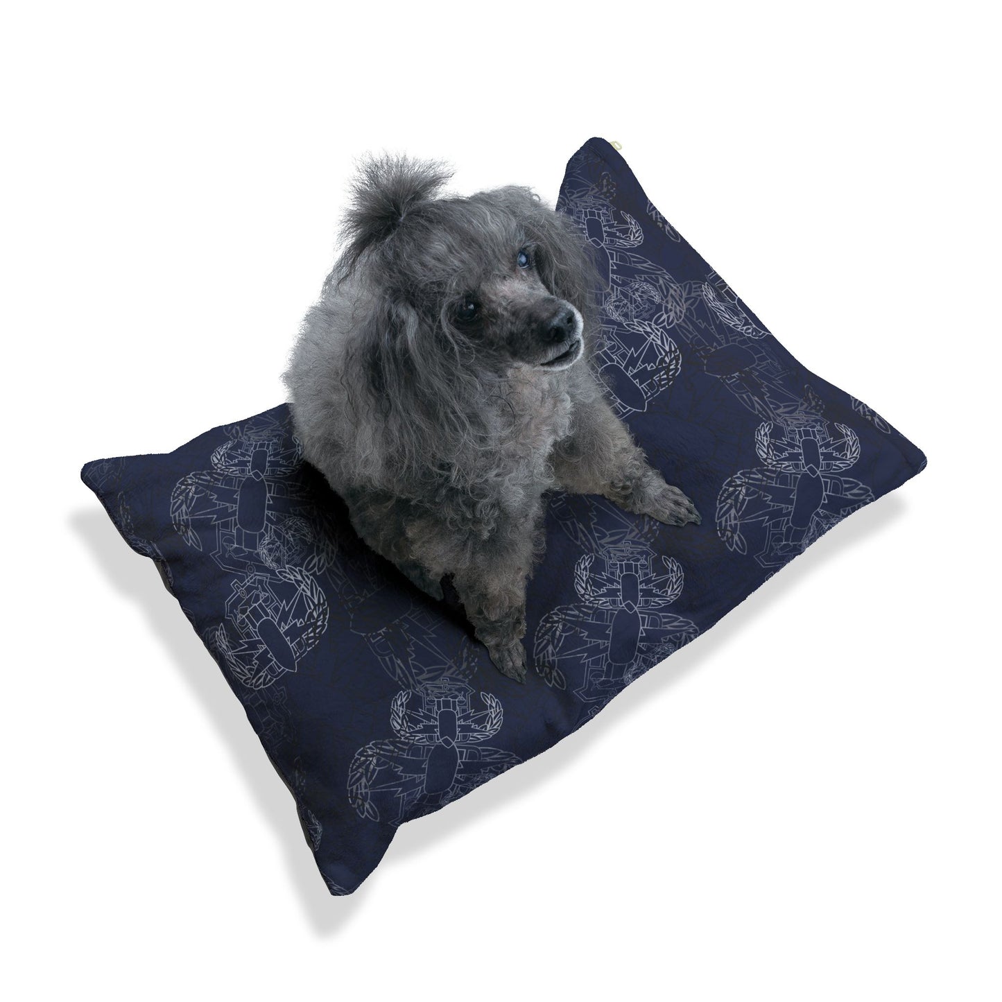 Pet Bed — "It's 5 o'clock Somewhere" PSBT (Blue on Black)