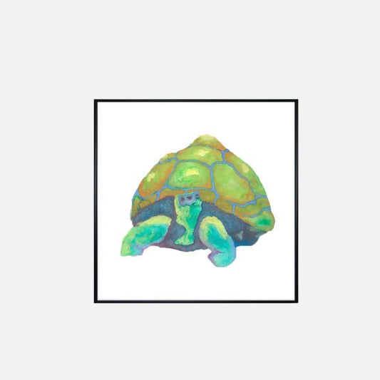 Print (12" x 12") - "Palo Verde Shade Tortoise"