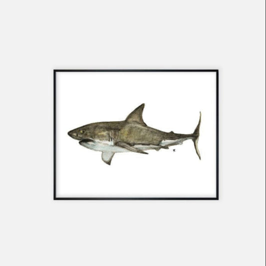 Print (11" x 14") - "Great White Shark"