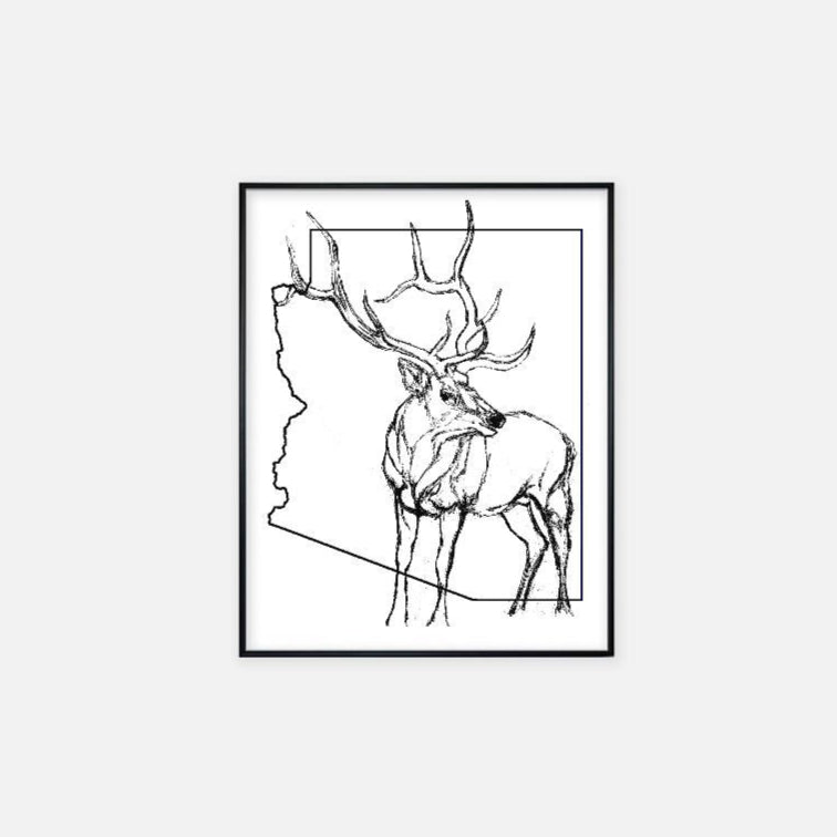 "Arizona Elk" - Print (11" x 14")