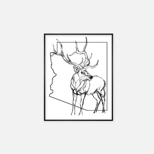 "Arizona Elk" - Print (11" x 14")
