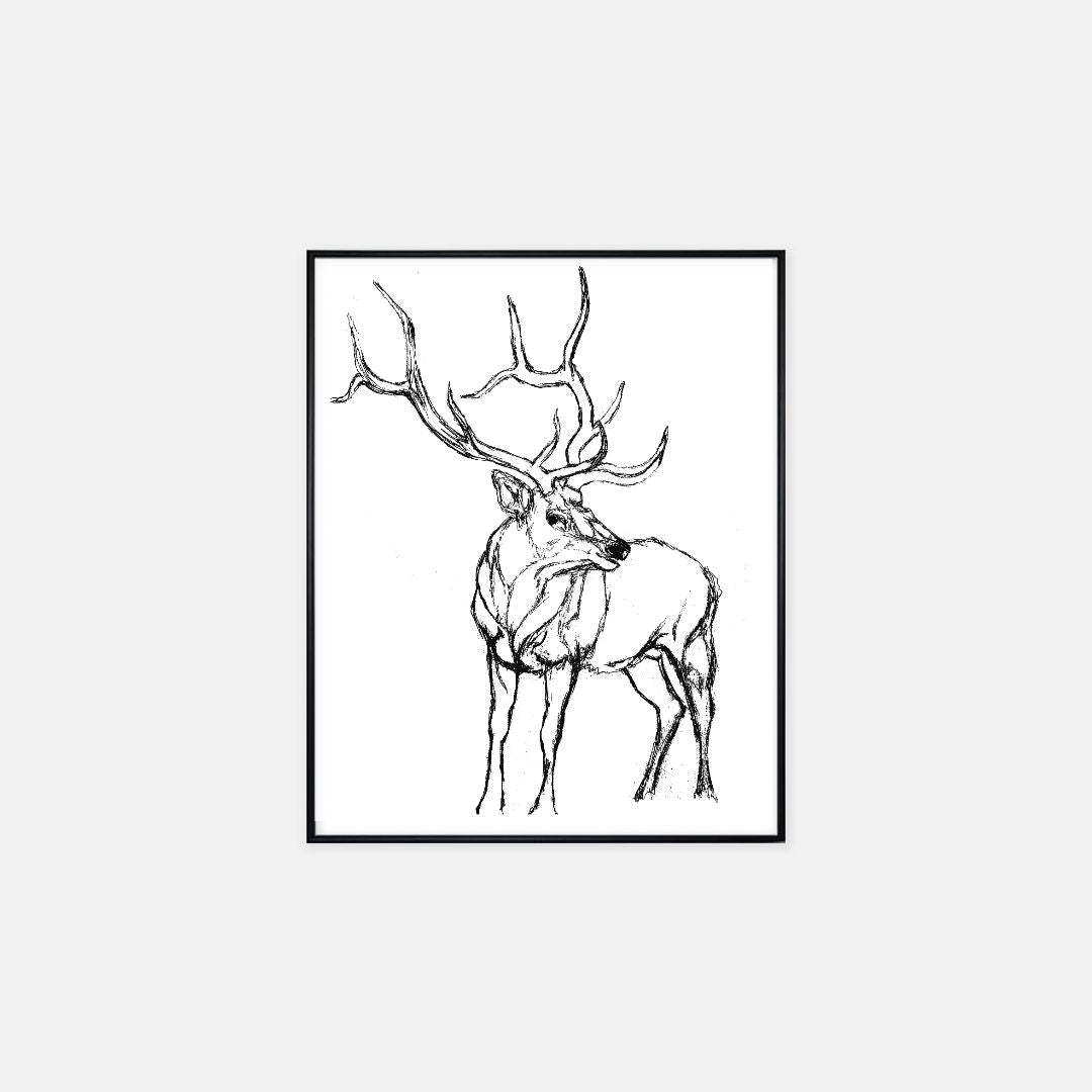 "Elk" - Print (16" x 20")
