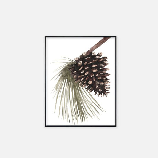 Print (11" x 14") - "Pinecone"