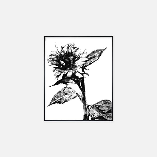Print (16" x 20") - "Sunflower"