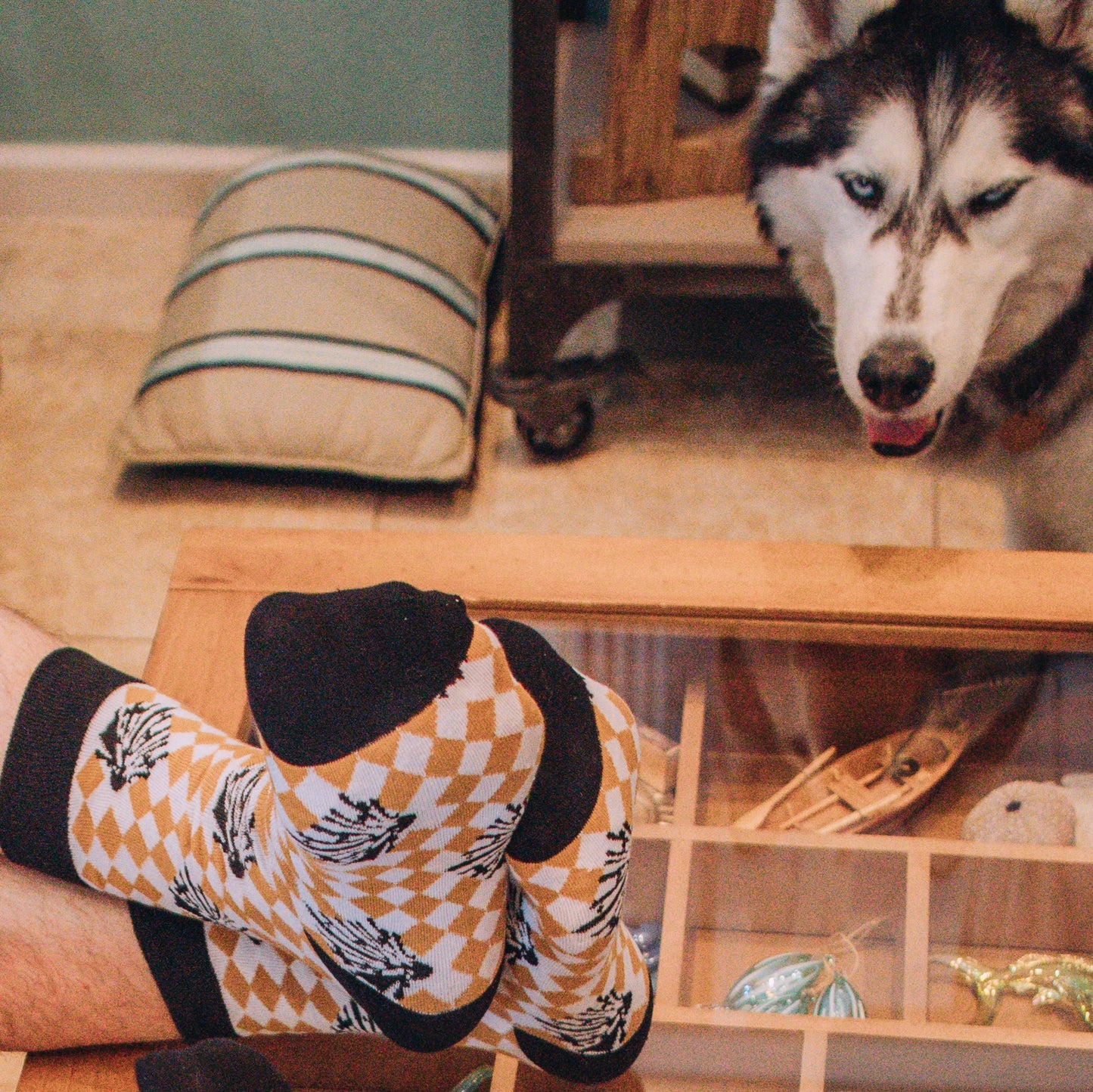 Socks - "High Explosives Placard"
