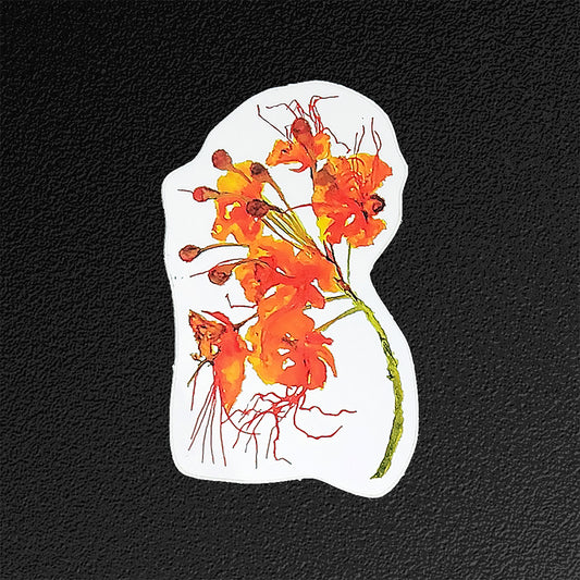 "Mexican Bird of Paradise" Vinyl Sticker/Decal