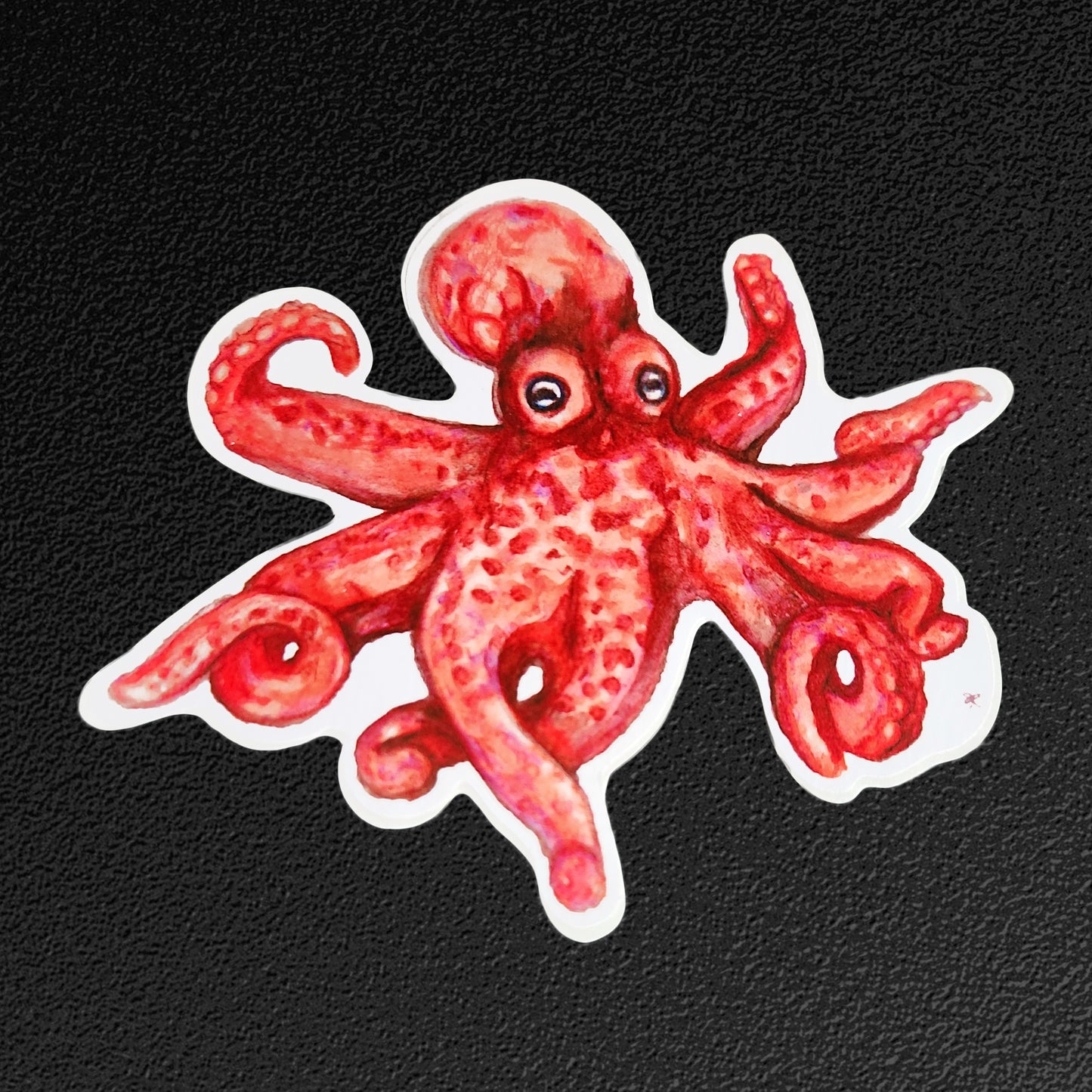O is for Octopus Vinyl Sticker/Decal