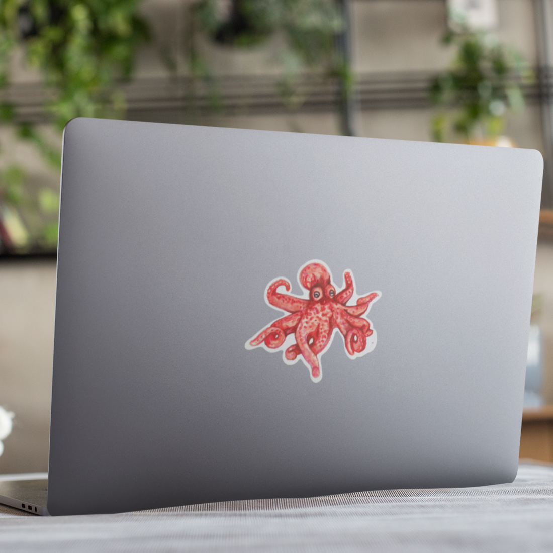 Vinyl Sticker/Decal - 