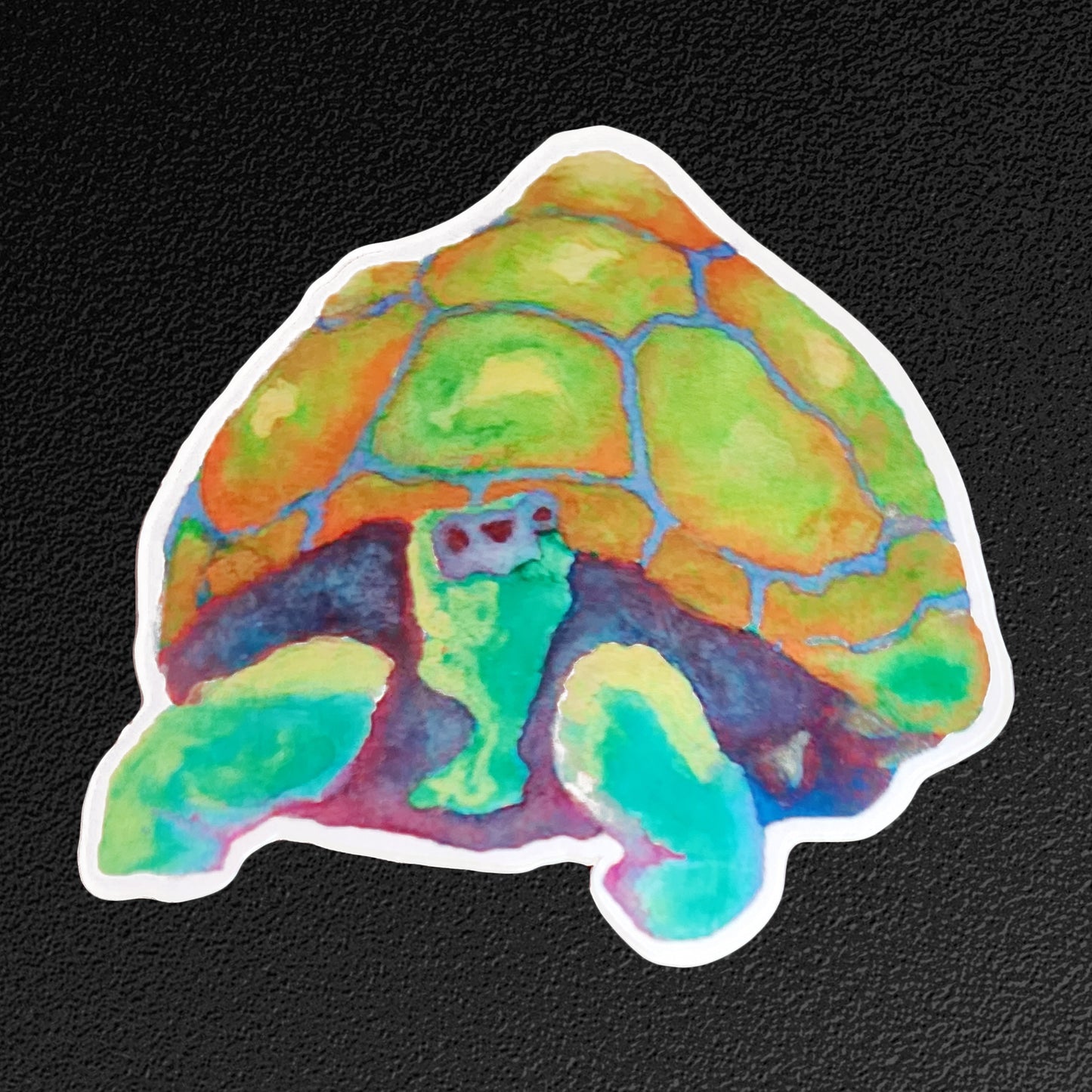 "Palo Verde Shade Tortoise" Vinyl Sticker/Decal