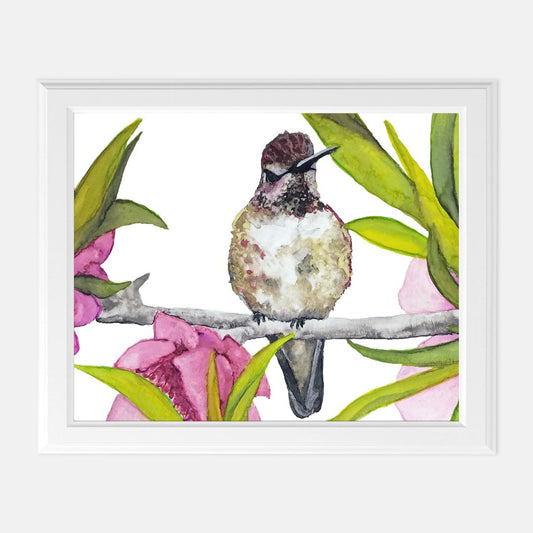Print (8" x 10") - "Ruby, the Hummingbird"
