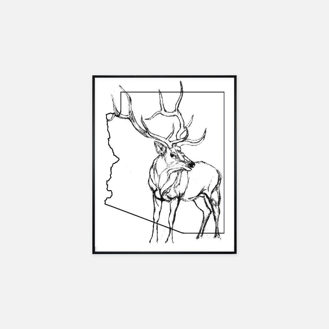 "Arizona Elk" - Print (16" x 20")