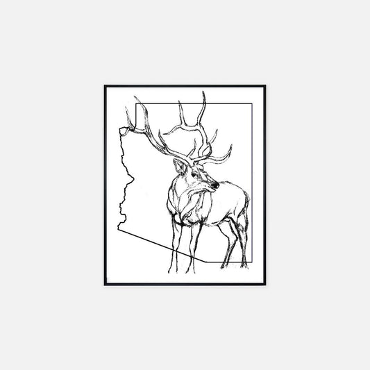 "Arizona Elk" - Print (16" x 20")