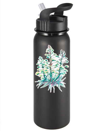 Arizona Christmas Trees Vinyl Sticker/Decal