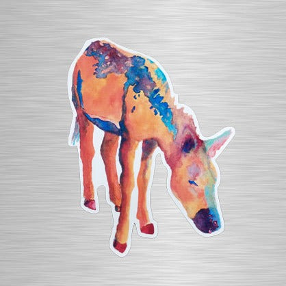 Desert Rain (Donkey/Burro) Vinyl Sticker/Decal