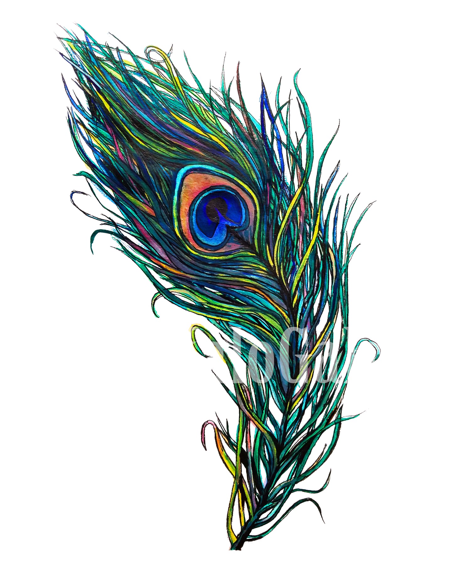 Peacock Feather Print
