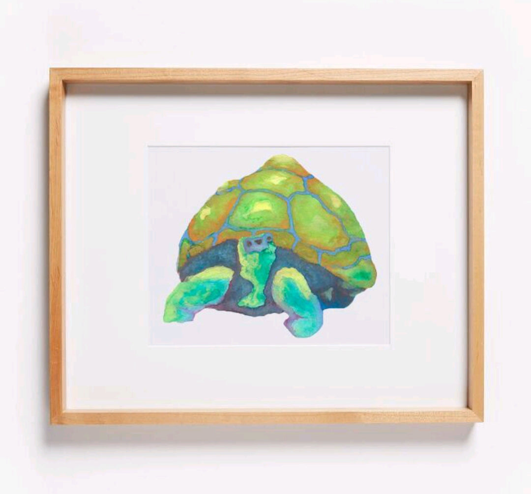 Palo Verde Shade Tortoise Print