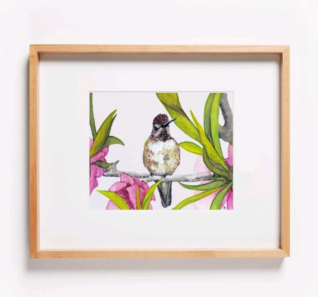 Hummingbird (Ruby) Print