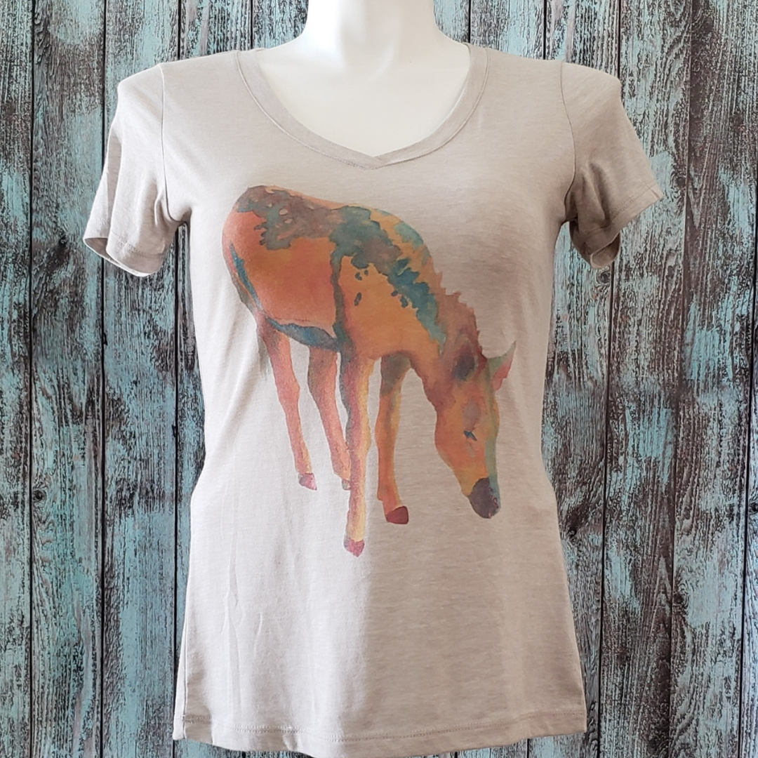 Desert Rain (Donkey/Burro) V-Neck T-Shirt